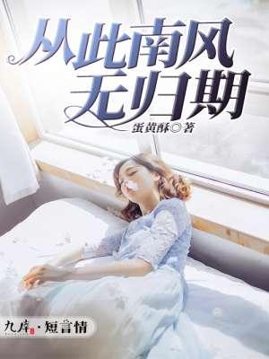 从此南风无归期 聚合中文网
