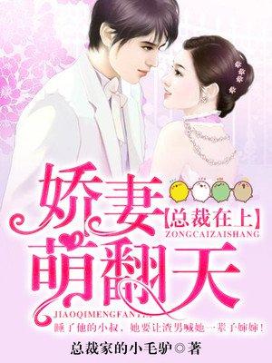 总裁在上娇妻萌翻天 总裁家的小毛驴