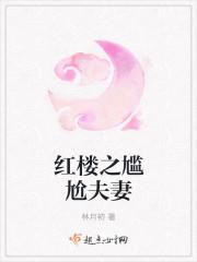 红楼之尴尬夫妻 同人