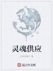 灵魂有什么作用