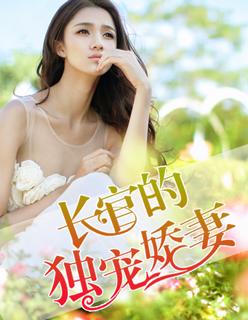 霸道总裁的独宠娇妻