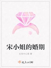 宋小姐是什么衣服牌子
