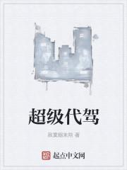 超级代驾电影