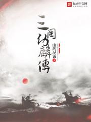三国幼麟传全本TXT