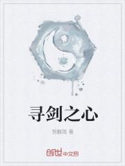 圣剑之心衣服价格表