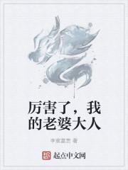 我的老婆大人免费阅读全文