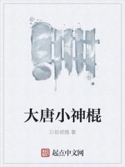 大唐神棍动漫免费播放