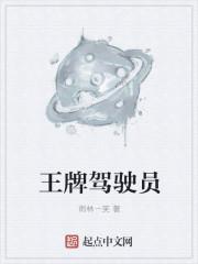 王牌车手的故事