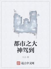 都市之神级大佬飞卢