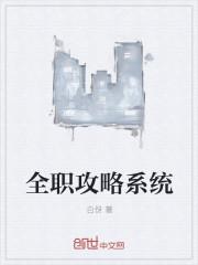全职 攻略进行中