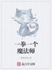一拳一个魔法师的