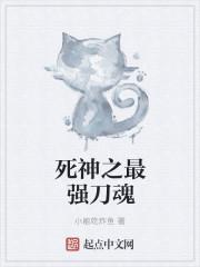 死神之斩魄刀刀灵
