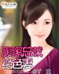 腹黑总裁绝色妻内容