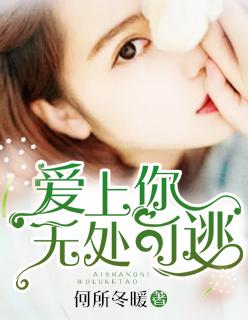 无处可逃作者何所冬暖