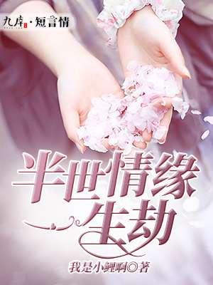 半世情缘一生劫夏雷炮
