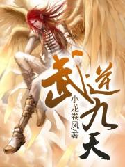 武逆九天界叶寒免费阅读