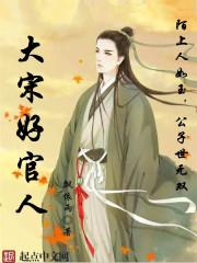 宋朝大官人全文免费阅读