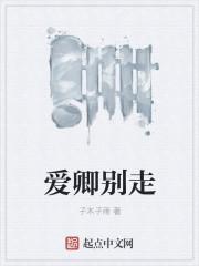 爱卿by风娓免费