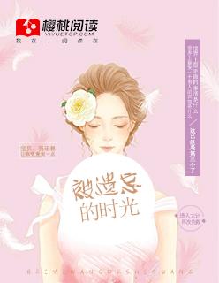 被遗忘的时光全文阅读无弹窗
