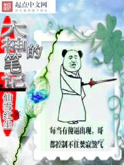 大神的笔记本