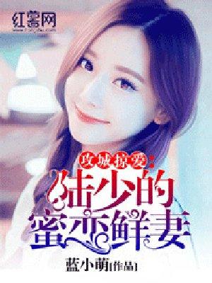 独宠旧爱?陆少的秘密恋人