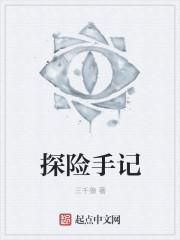 探险手记3黄金城