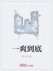 一爽多少钱
