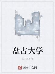 盘古大学教材