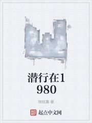 我在八十年代围观军婚的日子全文阅读