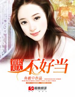 首长夫人这职业免费阅读