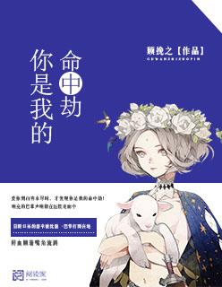你是我的命中劫短剧合集
