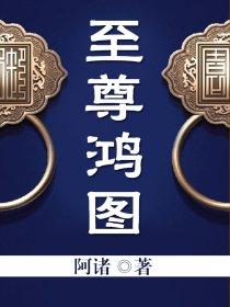 至尊鸿途怎么样