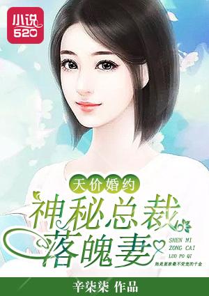 天价豪门