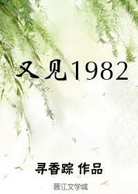 又见1982简介