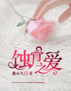 蚀骨之恨免费阅读
