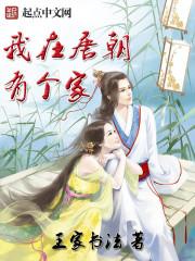 大唐贞观一书生