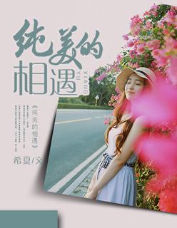 纯美的相遇完整版免费观看