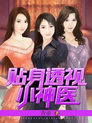 透视贴身保镖