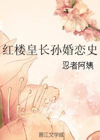 红楼皇长孙婚恋史在线阅读