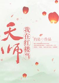我在红楼当天师 晋江