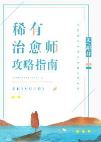 稀有治愈师攻略指南百度