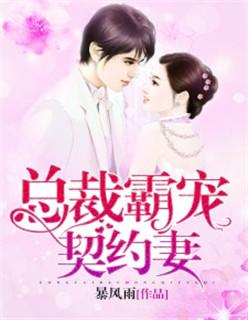 闪婚总裁甜宠契约妻