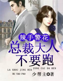 总裁大人别乱来