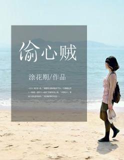 偷心贼怎么回复别人