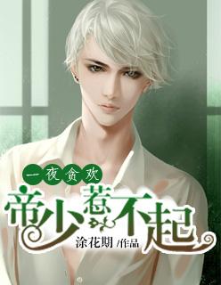 一夜惊喜帝少宠妻成瘾