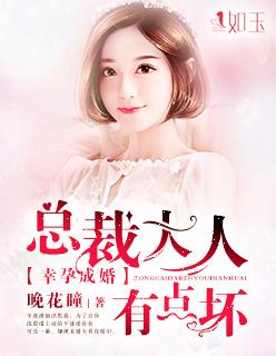 总裁大人好孕