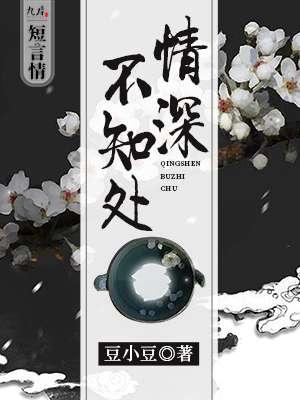 情深不知你