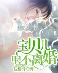 咱不离婚南辰