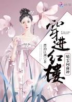 穿越之红楼晴雯升级