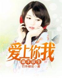 爱上你我不曾后悔是什么歌